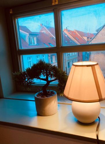 Apartamento Usedomtor 1750, Dachgeschosswohnung, Fewo 5