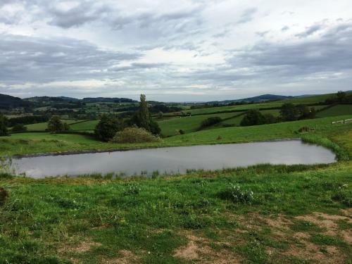Domaine Des Monts Du M�connais