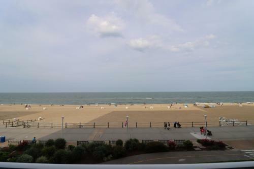 Apartamento Oceanfront Beach & Dolphins