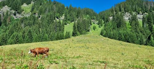 Apartamento Appartement 2ch Le Cairn De Morillon