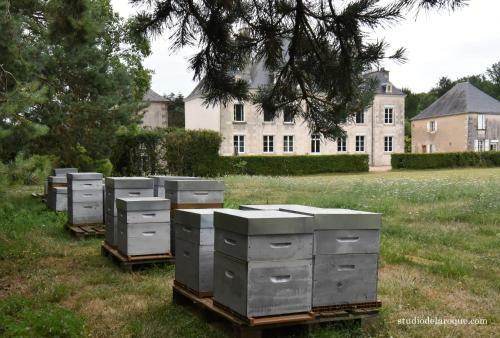Bed & Breakfast Domaine De La Briouse
