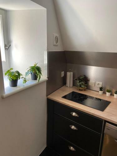 Apartamento Lintimiste � Sarlat