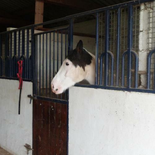 G�te Et Relais Equestre De Marie
