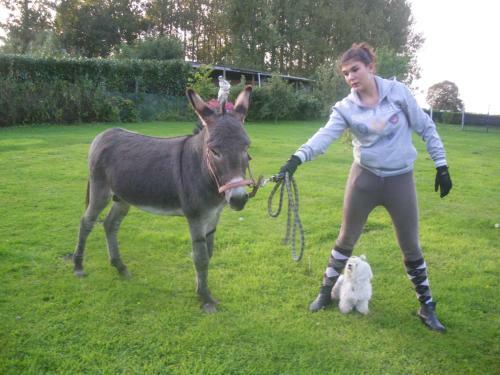 G�te Et Relais Equestre De Marie