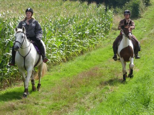 G�te Et Relais Equestre De Marie