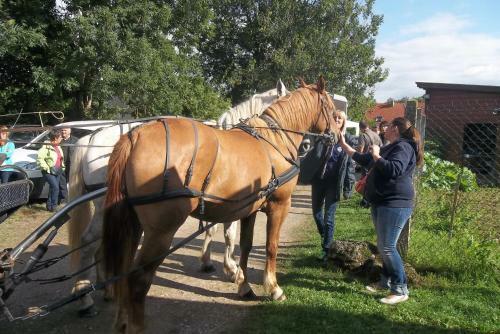 G�te Et Relais Equestre De Marie
