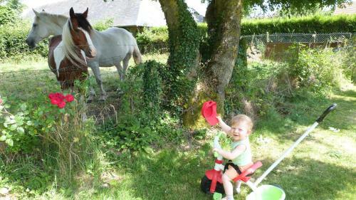 G�te Et Relais Equestre De Marie