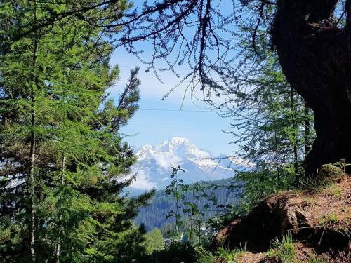 Apartamento Appartement � La Montagne Avec Piscine