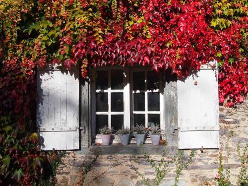 Bed & Breakfast Manoir De Pommery