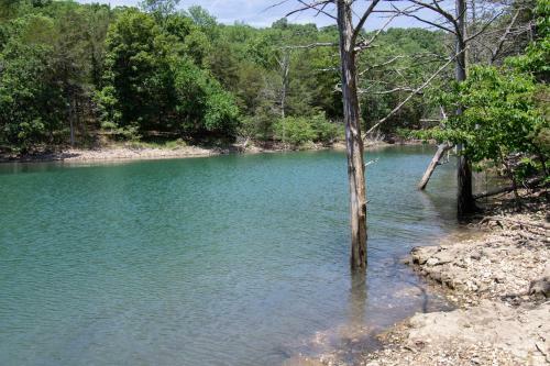Lakefront With Hot Tub/sauna-beaver Lake,arkansas