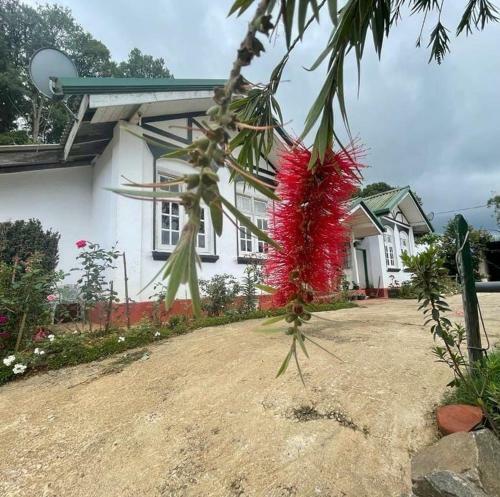 Apartamento Sunny Brook Holiday Bungalow