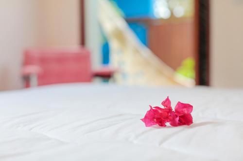 Hostal Estalagem Bonfim, 351