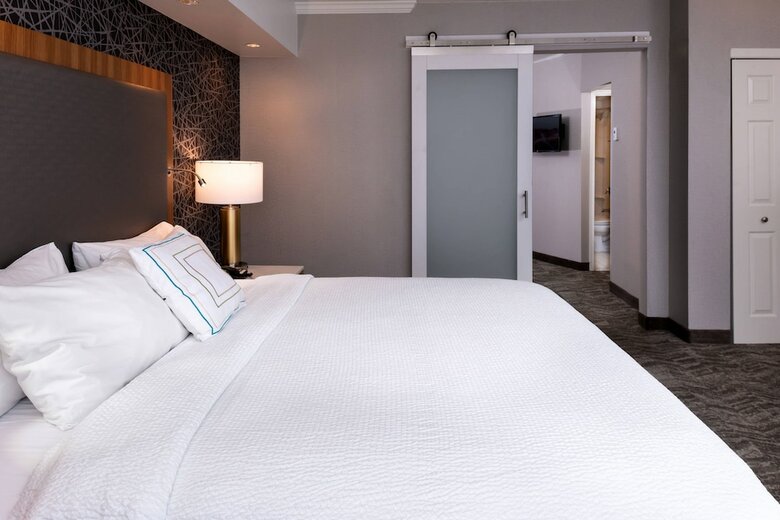 Hotel Springhill Suites By Marriott Pittsburgh North Shore