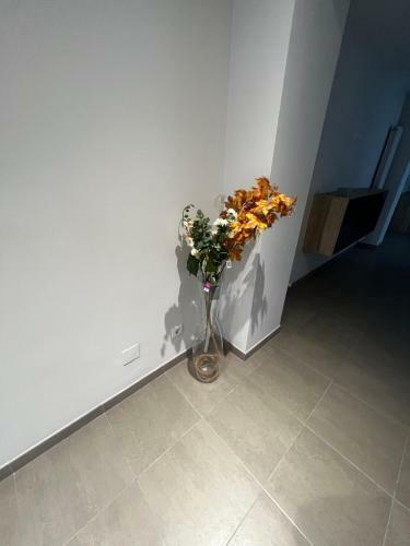 Apartamento Okrtheway San Pedro