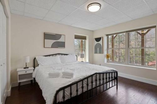 Cabin Near Downtown Avl- Hot Tub- Pet Friendly
