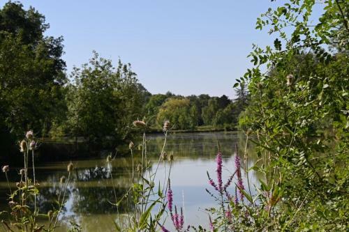 Hotel Domaine De Boulouch