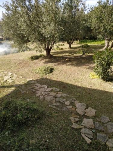 Agroturismo Villa Poggio Mos�