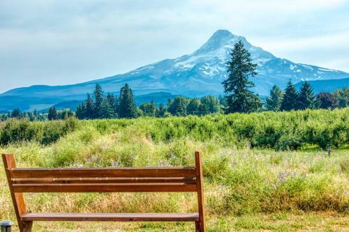 Mount Hood Vista