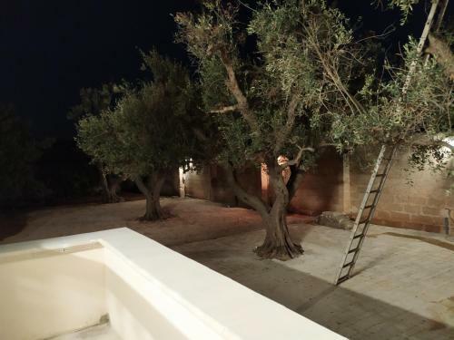 Apartamento Villa Aurora 2