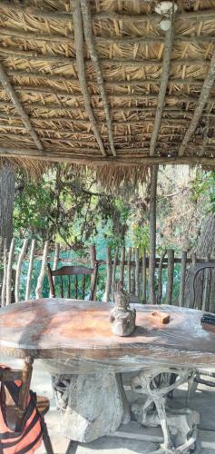 Hostal Caba�as Rio Tamasopo