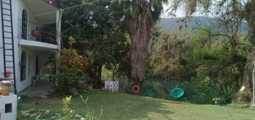 Hostal Caba�as Rio Tamasopo