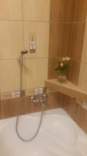 Apartament Bieszczady