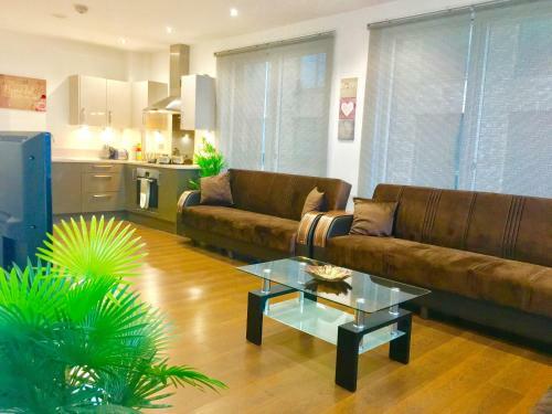 London Excel 2 Bedrooms River View Apartment