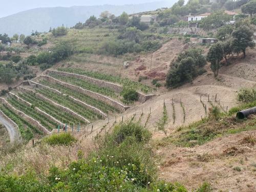 Agroturismo Agriturismo Sant'anna