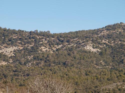 Agroturismo Alojamiento Tur�stico "el Torre�n"