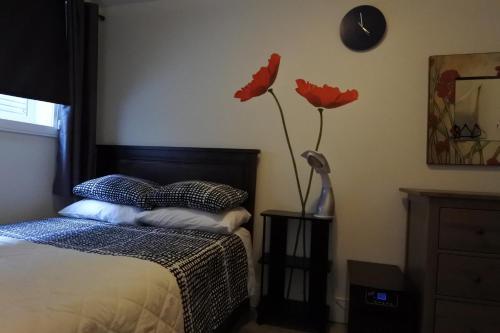 Hotel Black Rooster Guesthouse