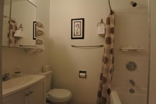 Hotel Black Rooster Guesthouse