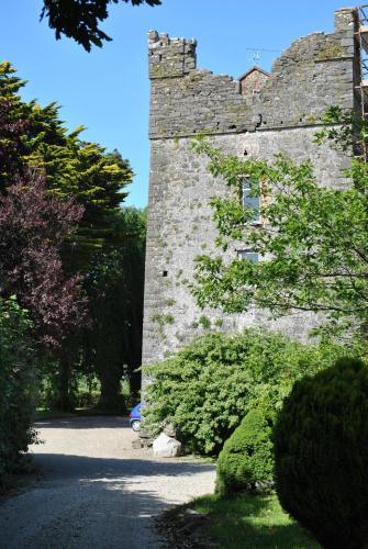 Hostal Killiane Castle Country House & Farm