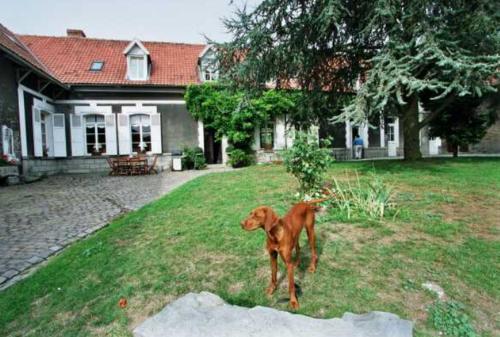 Bed & Breakfast La Ferme De La Sens�e