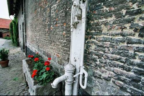 Bed & Breakfast La Ferme De La Sens�e