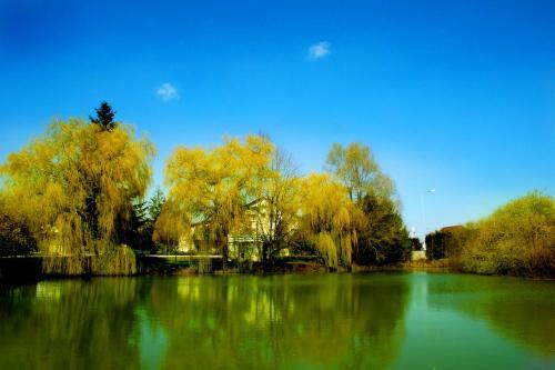 Hotel Motel Des Bruy�res