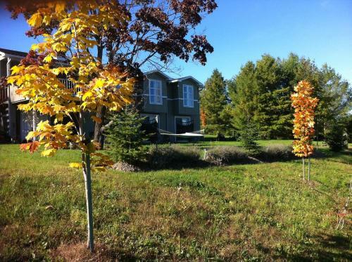 Bed & Breakfast Auberge Aux Deux P�res