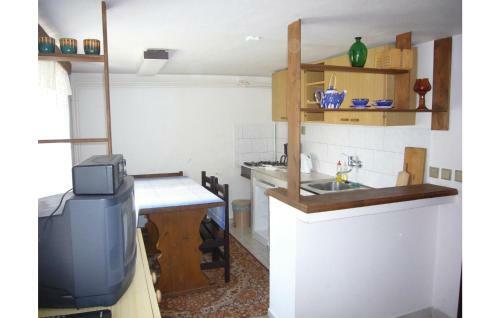 Apartment Horni I