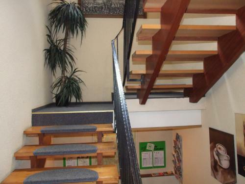 Hostal G�stehaus Palmengarten