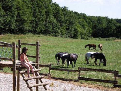 Holiday Home Maisonnette Du Lot Gavaudun