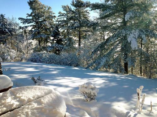 Laughing Waters Bed & Breakfast And Vacation Rental