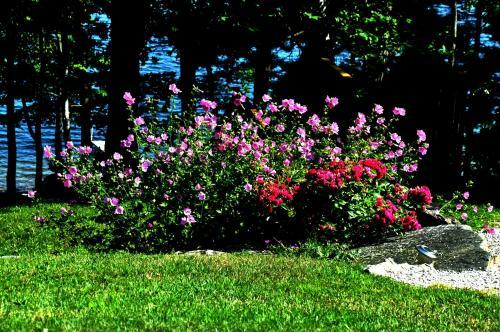 Laughing Waters Bed & Breakfast And Vacation Rental