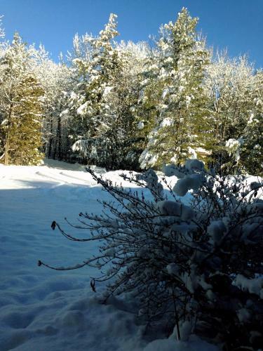 Laughing Waters Bed & Breakfast And Vacation Rental
