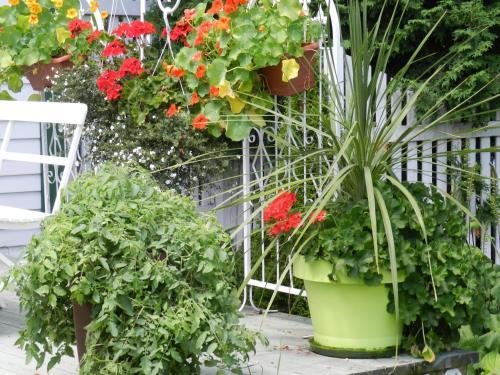 Bed & Breakfast G�te Aux D�lices Des Caprices