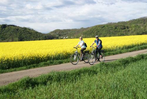 Rhineland Holiday Pinger Hotels