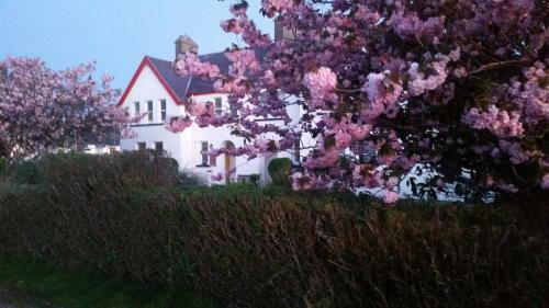 Hostal The Old Cable Historic House & Seafood Restaurant