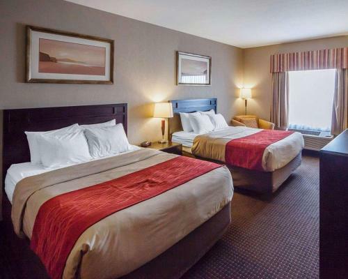 Hotel Comfort Inn & Suites Sylvan Lake