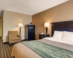 Hotel Comfort Inn Boston/woburn