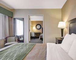 Hotel Comfort Inn Boston/woburn