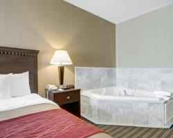 Hotel Comfort Inn Boston/woburn