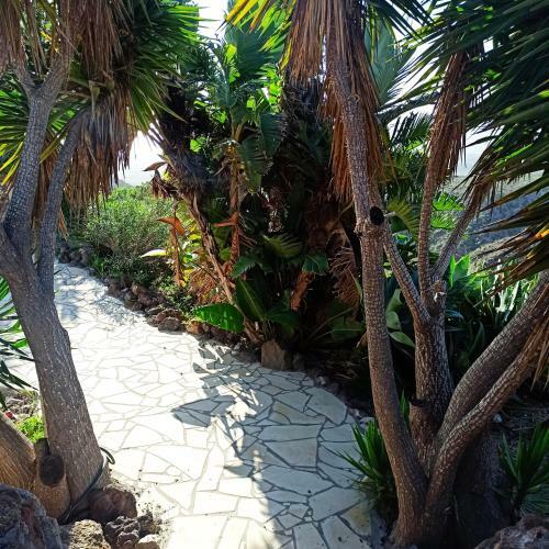 Impeccable 1-bed Apartment In Villa De Arico Pool